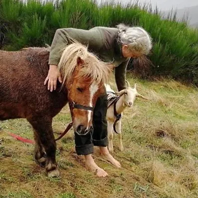 Tiny House - La Foret Du Dragon Parque de Campismo *