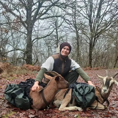 Tiny House - La Foret Du Dragon Murols