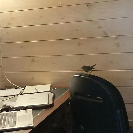 Parque de Campismo Tiny House - La Foret Du Dragon