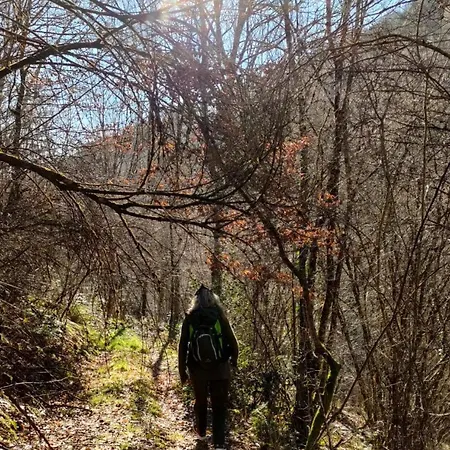 Tiny House - La Foret Du Dragon Murols