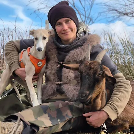 Tiny House - La Foret Du Dragon