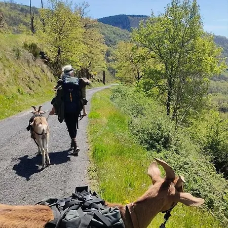 Tiny House - La Foret Du Dragon *