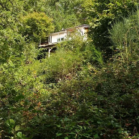 Tiny House - La Foret Du Dragon Murols