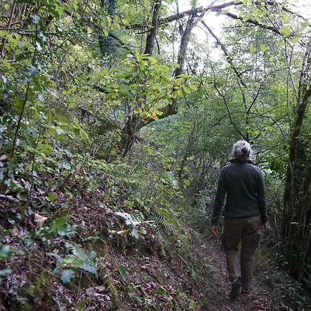 Tiny House - La Foret Du Dragon Camping *