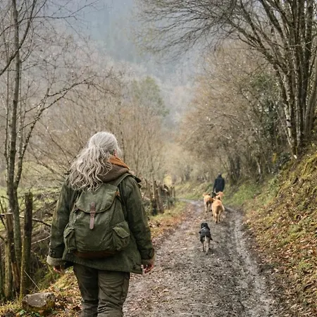 Camping Tiny House - La Foret Du Dragon