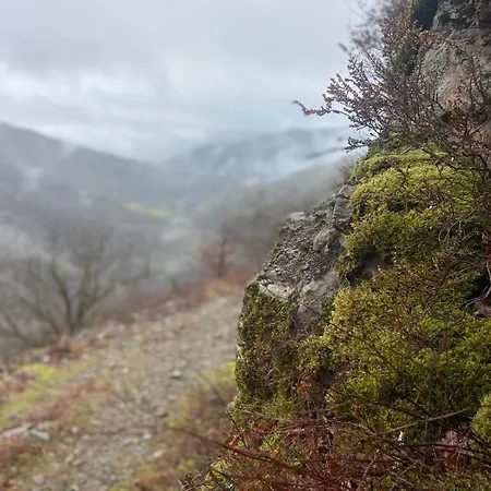 Tiny House - La Foret Du Dragon Camping *