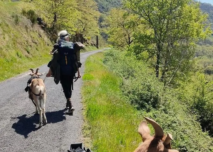 Tiny House - La Foret Du Dragon *