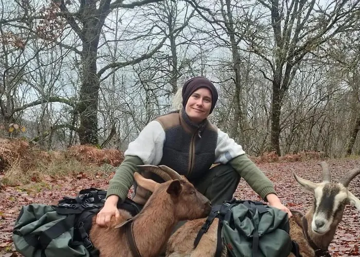 Tiny House - La Foret Du Dragon Murols