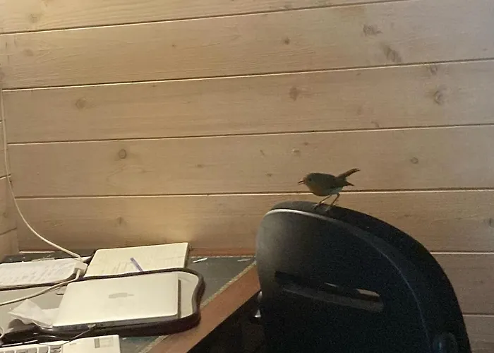 Camping Tiny House - La Foret Du Dragon