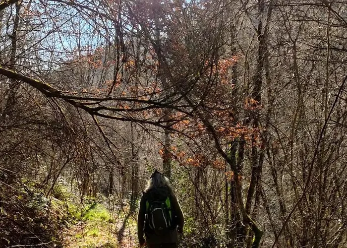 Tiny House - La Foret Du Dragon Murols