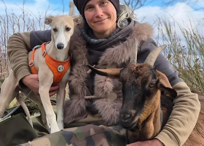 Tiny House - La Foret Du Dragon