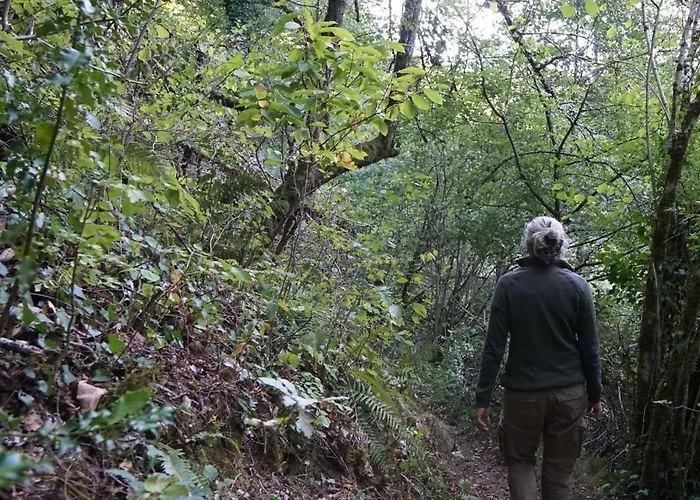 Tiny House - La Foret Du Dragon Camping *