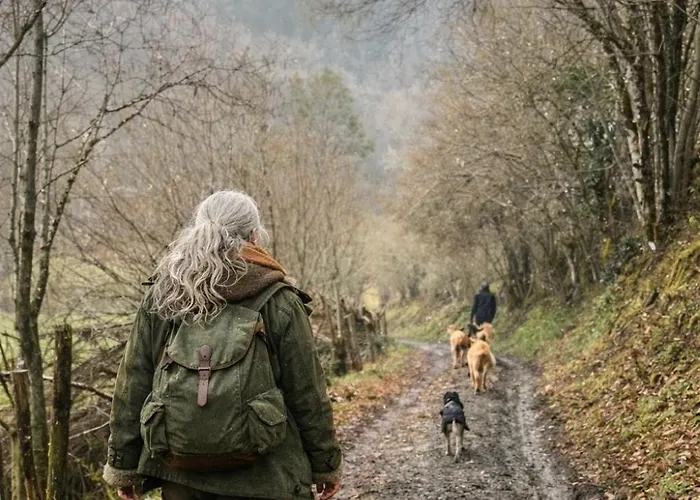Camping Tiny House - La Foret Du Dragon